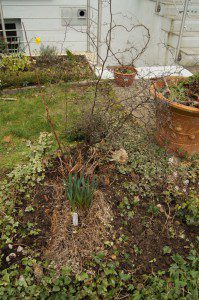 Der Inhalt aus einem Rollcontainer sitzt jetzt im Vorgarten