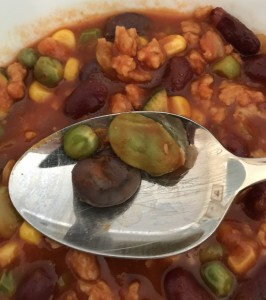 Chili Con Carne mit eigener Ernte