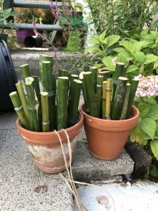 Bambus Stücke in Tontopf als Wildbienenhotel.