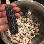 Popcorn aus Blauen Popcornmais