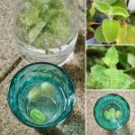 erfrischende Limonade mit cucamelon