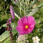 Pinkes Schmuckkörbchen