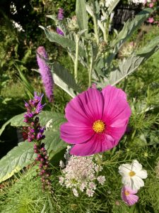 Pinkes Schmuckkörbchen