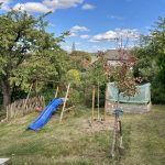 Der Walnuss Baum ist im oberen Teil des Hausgartens gepflanzt.