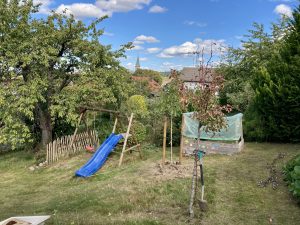 Der Walnuss Baum ist im oberen Teil des Hausgartens gepflanzt.