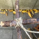 Spinnennetz Rahmen wird fest gezurrt.