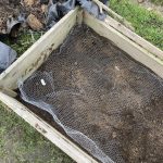 Kleintierdraht Frühbeet