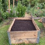 Die Hochbeete werden mit Kompost aufgefüllt.