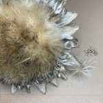 Trockene Artischocken Blüte