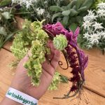 Schmuck für Handgelenk