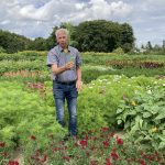 Der Pflanzen Experte in den Schmuckkörbchen