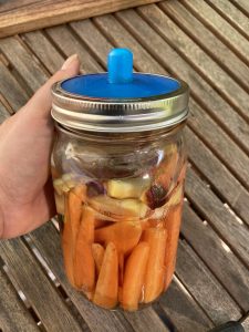 Silikon Gärdeckel "Pickle Pipe"