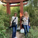 Schlendern über die Bambusinsel