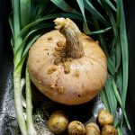 Die Zutaten für eine Kürbissuppe aus dem Gemüsegarten.