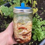 Kimchi Style fermentiert im Glas.