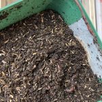 Die fleißigen Wurm Helfer ziehen ein.