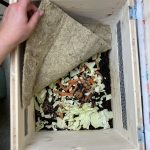 Die erste Wurm Fütterung mit Gemüsereste aus der Küche.