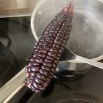 Noch sind die Maiskörner weich.