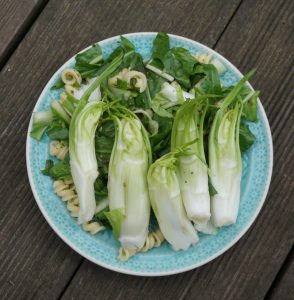 Vulkanspargel Puntarella als Salat an Pasta mit Olivenöl.