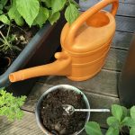 Düngen mit Wurmhumus