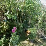 Jeder Schatten zählt jetzt.