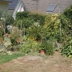 Der Rasen wird nicht bewässert.