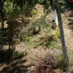 Blick in den ausgetrockneten oberen Garten.