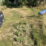 Hätte so schön sein können.