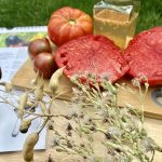 Gemüse Samen sammeln, wie Tomaten, Salat, Rettich uvm.