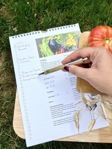 Gemüsekalender hilft mir bei der Aussaat Organisation., Herbstaussaat.