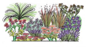 Das Staudenbeet der Zukunft