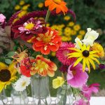 Blumenvielfalt im Herbst.