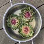 Artischocken Böden, In Essigwasser gekocht,