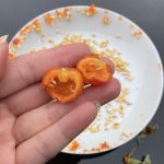 Eine Hagebutte ist geschafft.