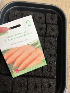 Erdballen für die Karotten Aussaat.