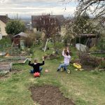 Erde ausgehoben für Wildblumenwiese.
