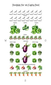 Beispiel Gemüse Beet Kapha.