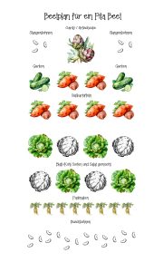 Beispiel Beetplan Pita Dosha.