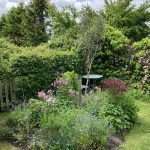 Kräuter und Akelei im Beet.