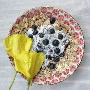 Müsli Aroniabeere und Nachtkerzen Blüte und Samen.