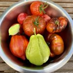 Erntereife Chayote, geerntet im September.