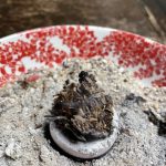 Räucherkugel mit Kräuter aus dem eigenen Garten.