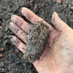 Schwarzede mit Lehm und Pflanzenkohle.