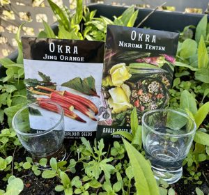 Gutes Okra Saatgut notwen