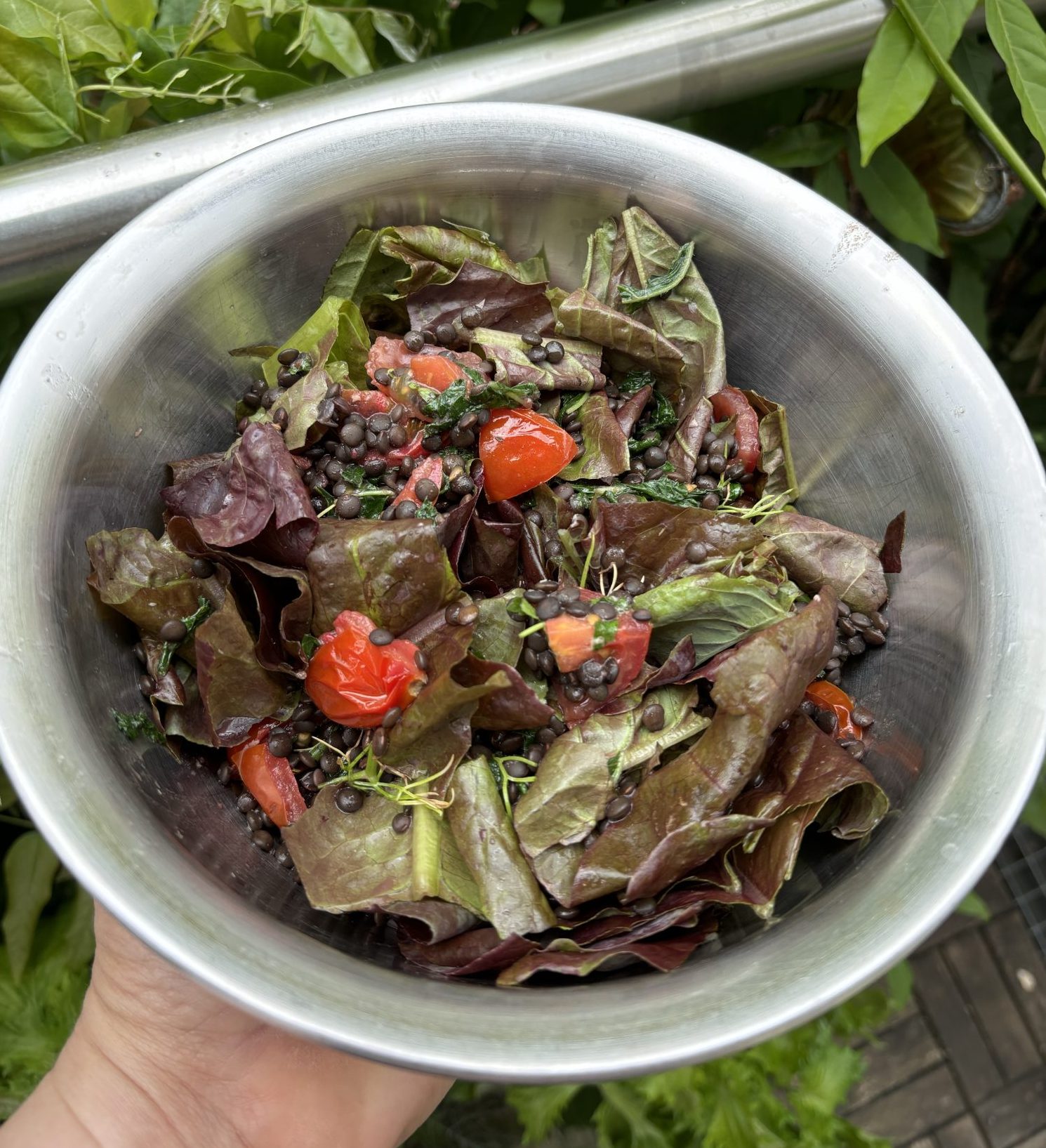 Beluga Linsen Salat mit Spargelsalat.