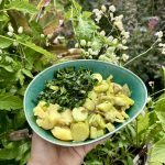 Gemüse mit Leimkraut.