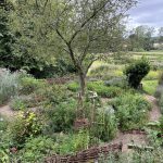 NS Nursery, Obstgarten