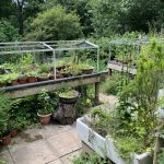 NS Nursery, Kitchengarden