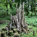 NS Nursery, Totholz creepy-crawley