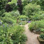 NS Nursery, Teegarten